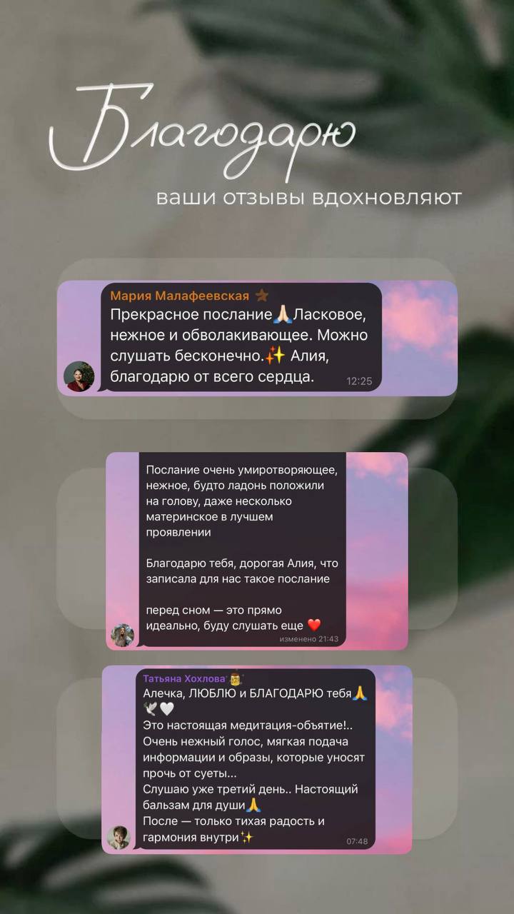 Отзыв-сообщение · 04